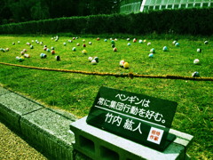 ペンギンは常に集団行動を好む。