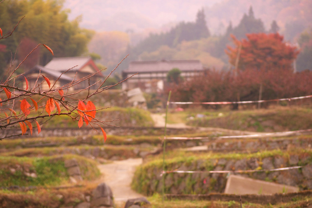 山梨の山中にて