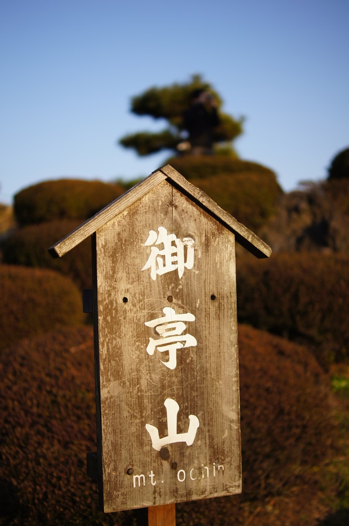 浜離宮の1枚