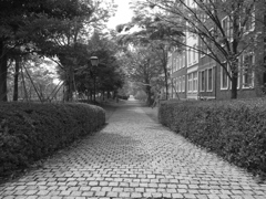 散歩道