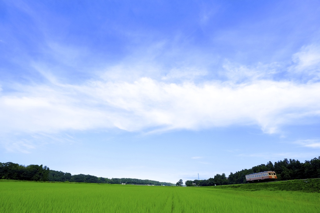 青空のもとを