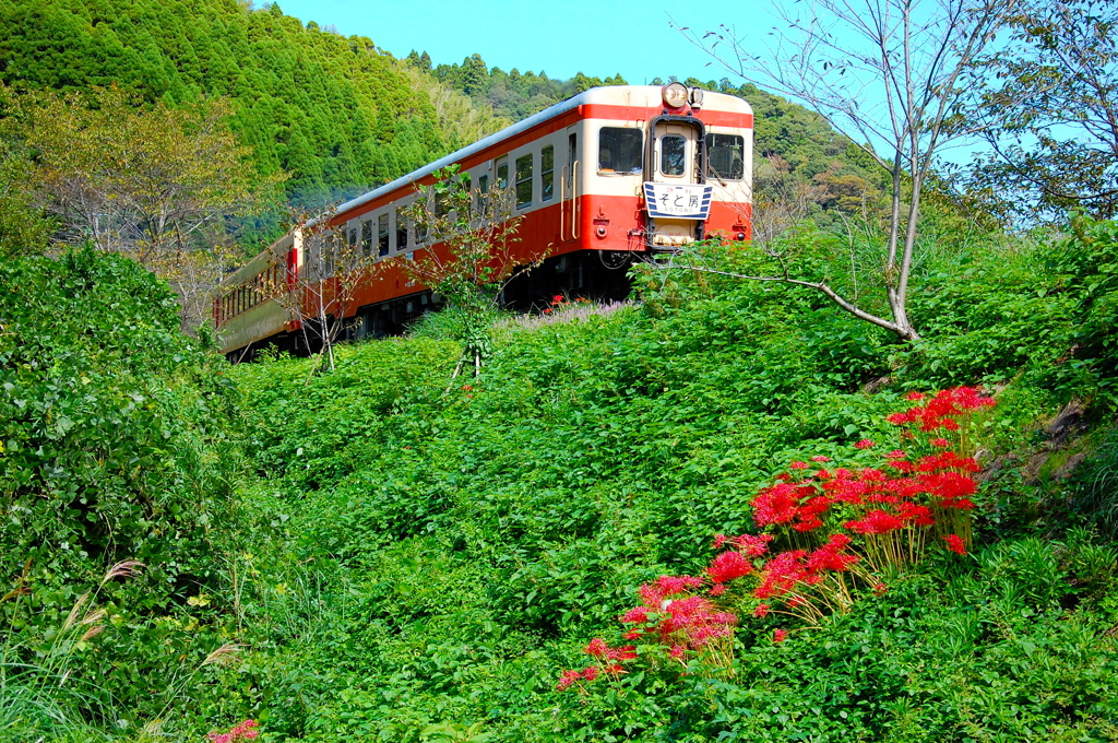 いすみ鉄道　秋晴れ