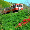 いすみ鉄道　秋晴れ