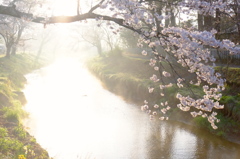 忍野村　朝日に包まれて