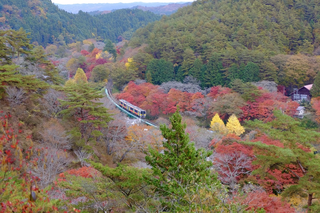 矢祭山　秋景色