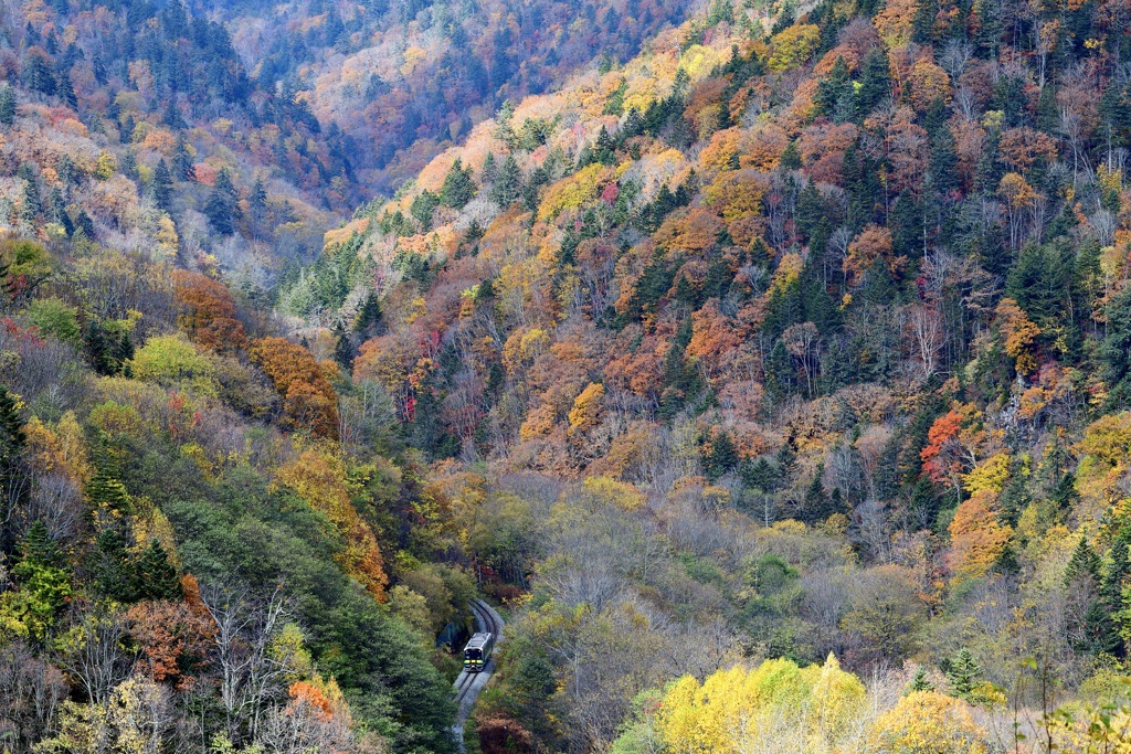 北海道・東北巡業-7