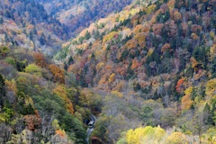 北海道・東北巡業-7
