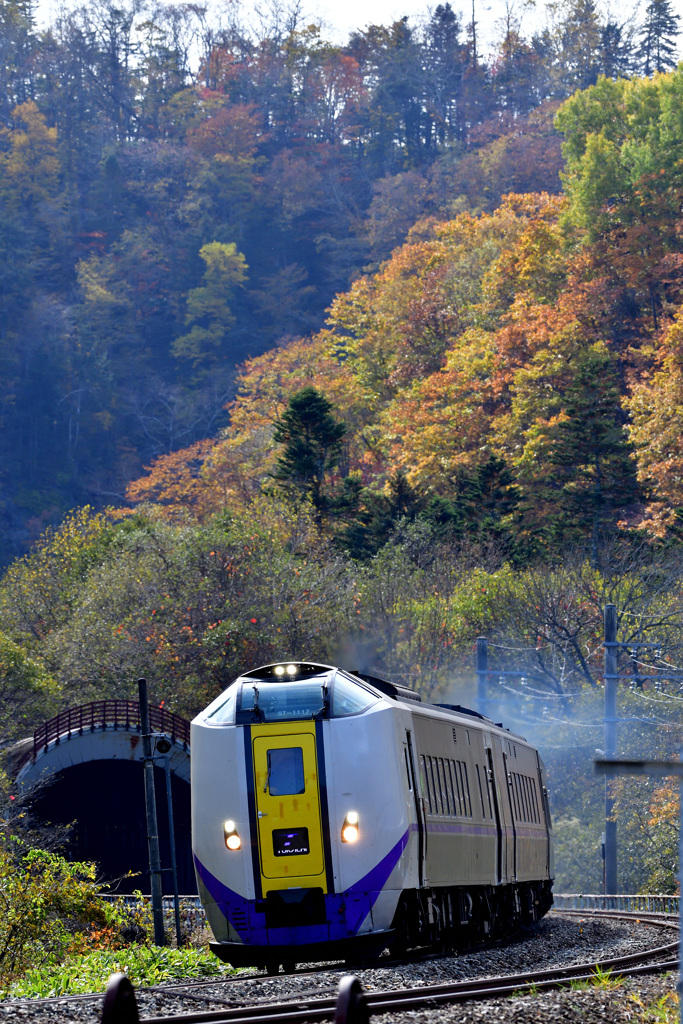 北海道・東北巡業-21