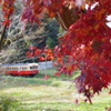 晩秋　小湊鉄道