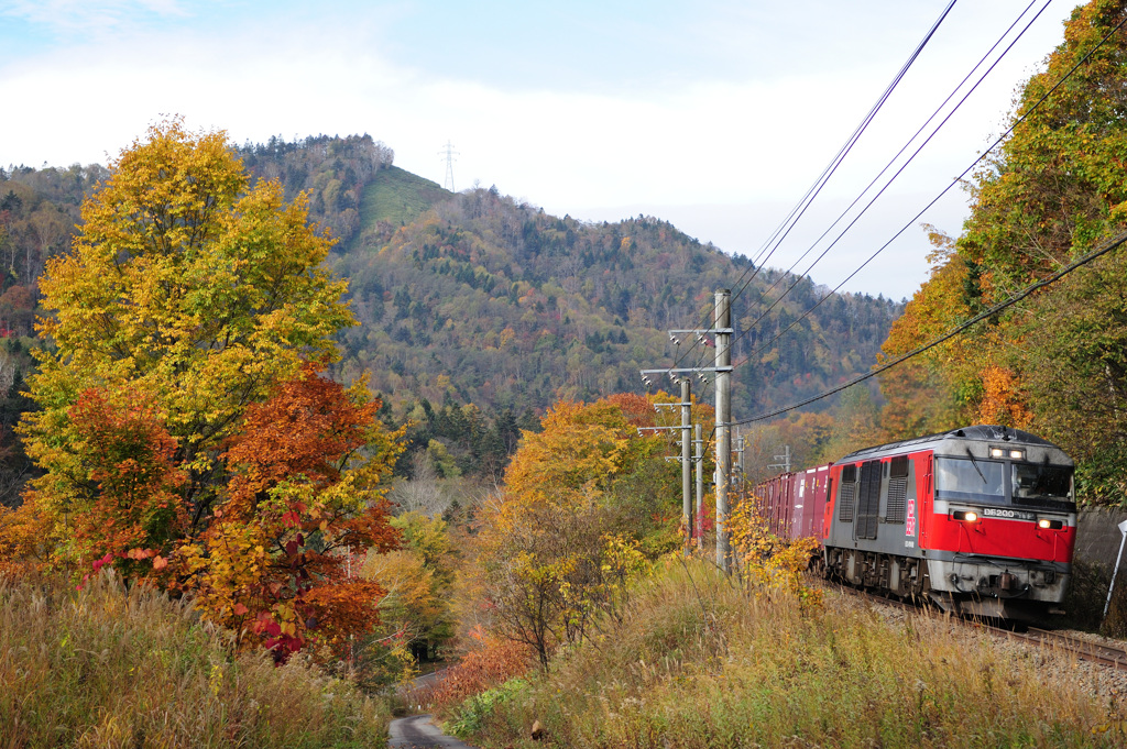 北海道・東北巡業-20