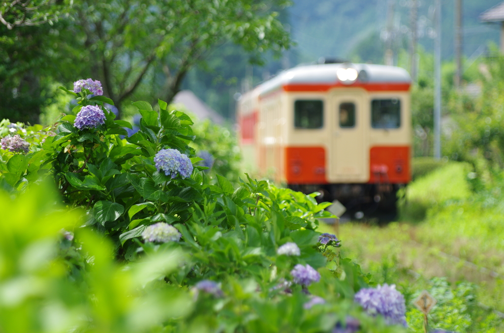 いすみ鉄道　梅雨景色