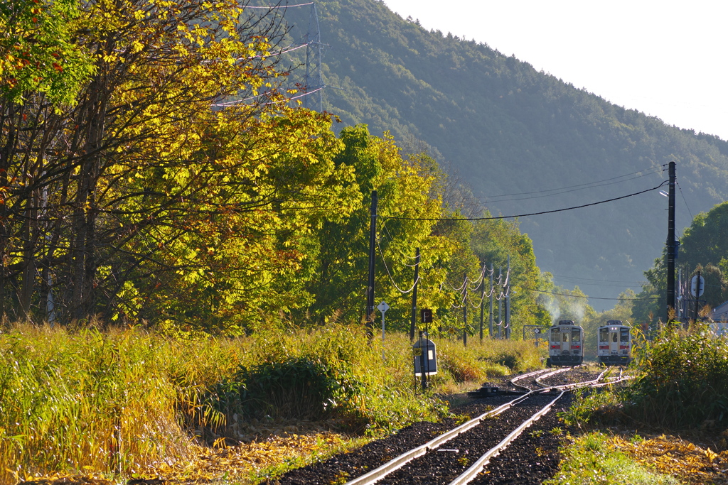 北海道・東北巡業-3