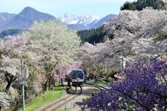 桜に包まれた駅