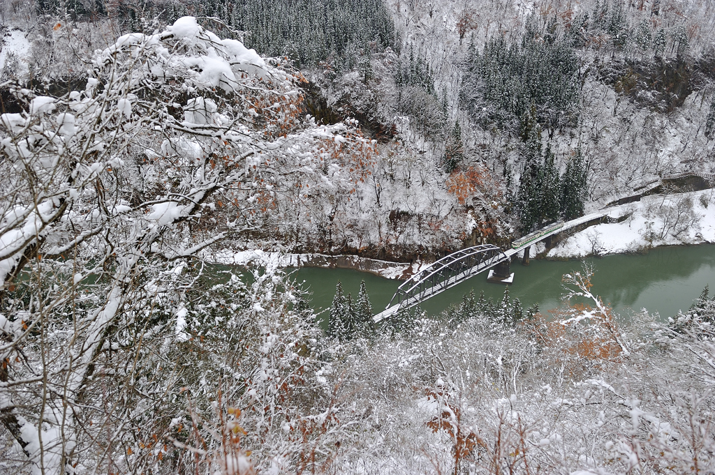 今冬初雪景色-2