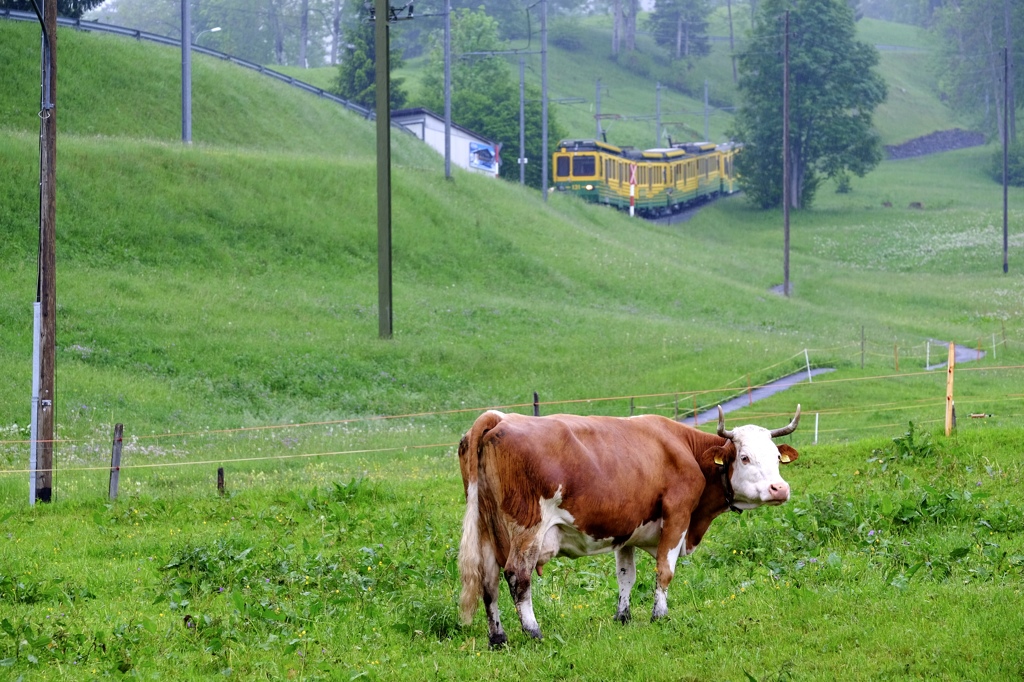 スイス　ユングラウ登山鉄道 - 2