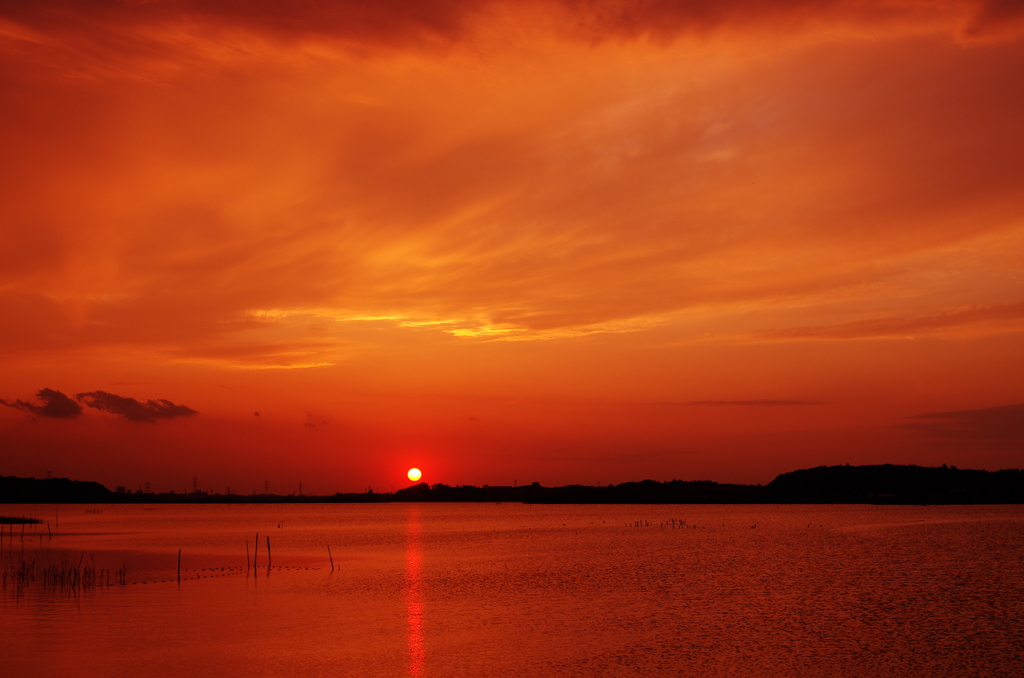 夕日に染まり