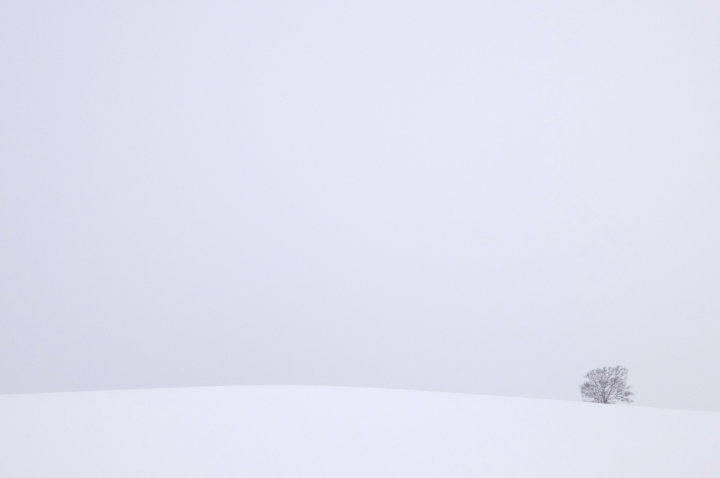 White world