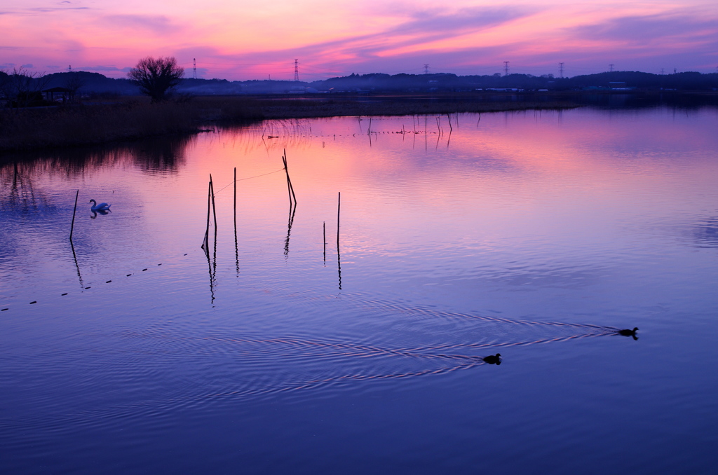 夕暮れ時