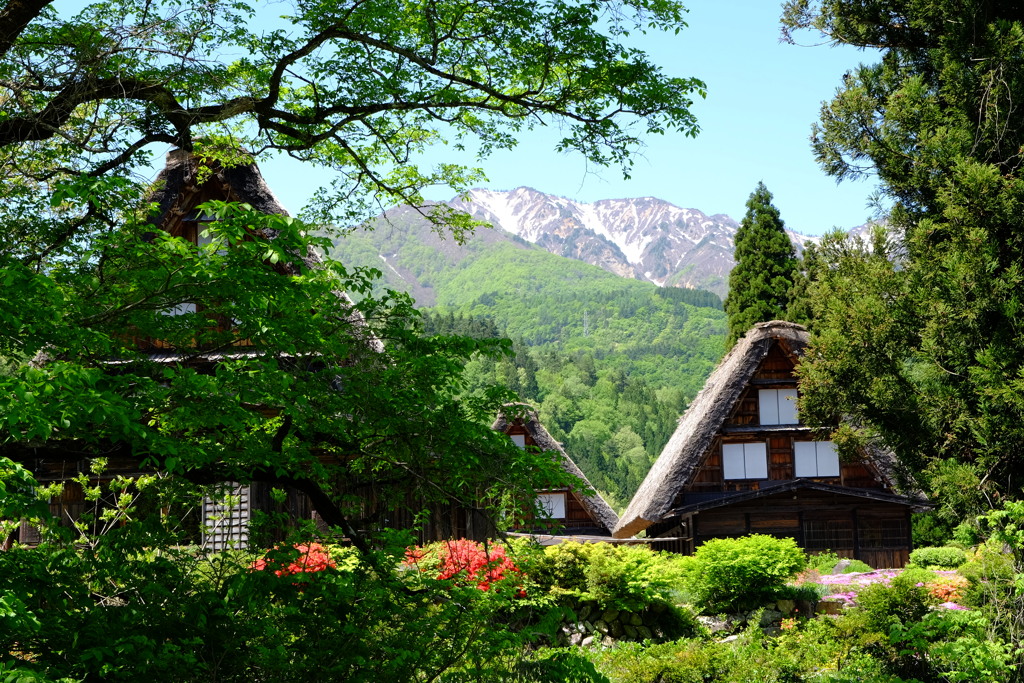 春の白川郷