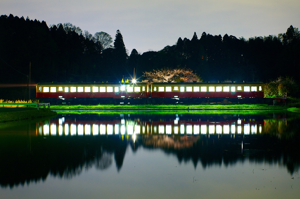 長閑な春の夜