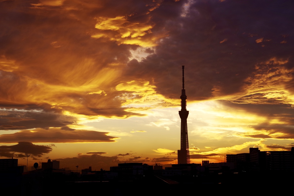 思わぬ夕焼けでした