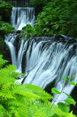 白糸の滝