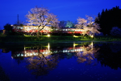 飯給夜桜 in 2017