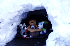関東雪景色　ほのぼのと・・・