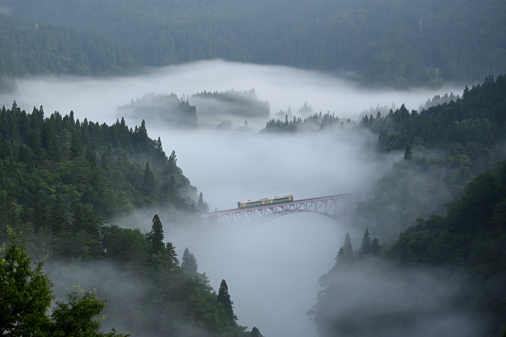 5年ぶりの光景