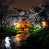 忍野村　桜夜景