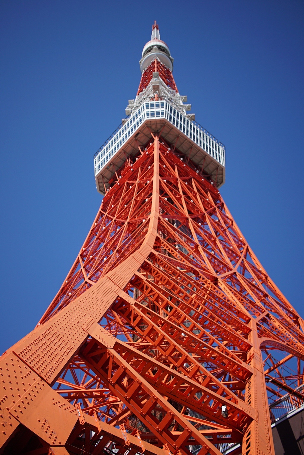 東京タワー20240228