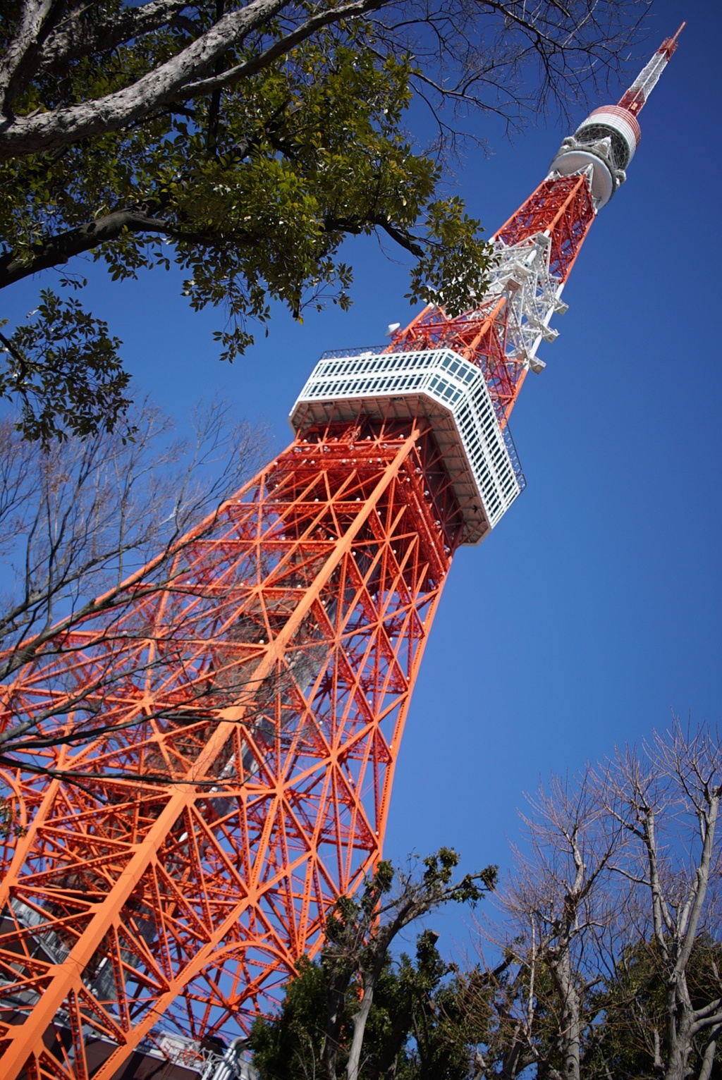 東京タワー20240228-2