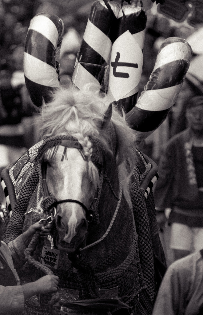 飾馬