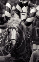 飾馬