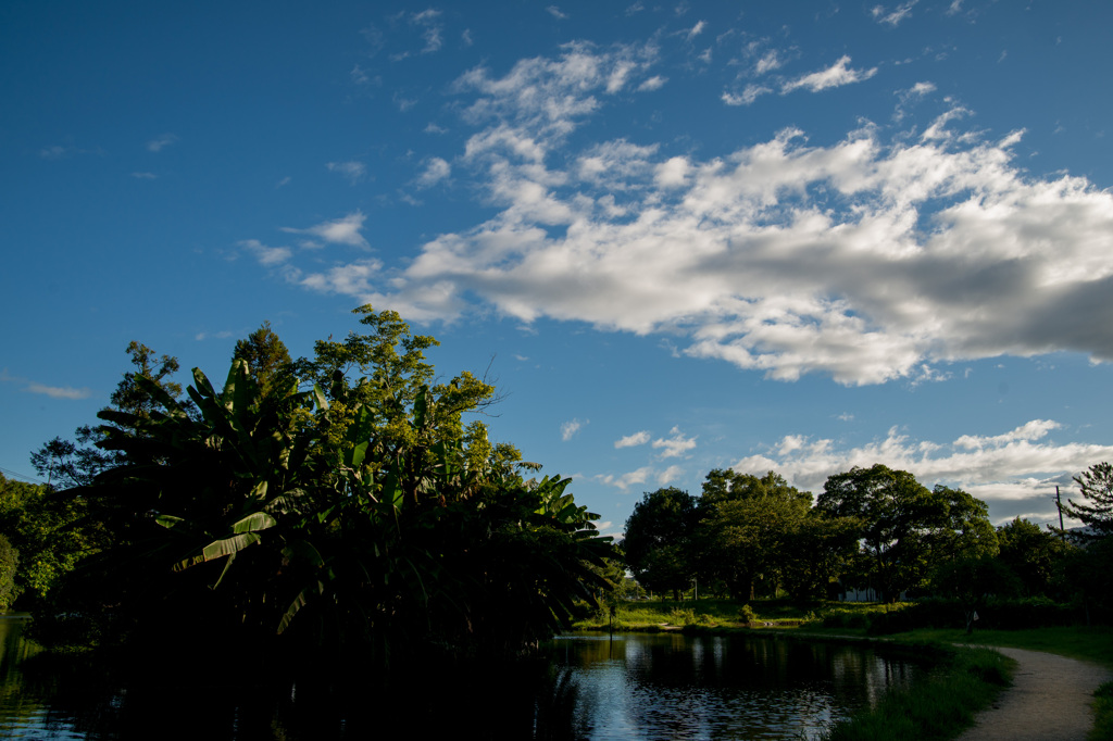 鮮やかな公園
