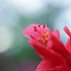 IMG_5943