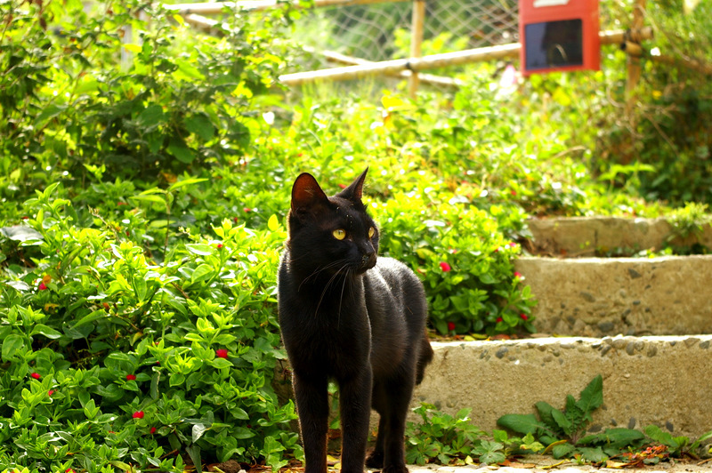 IMGP5130