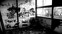IMGP4413