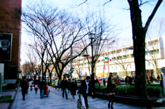 IMGP6813