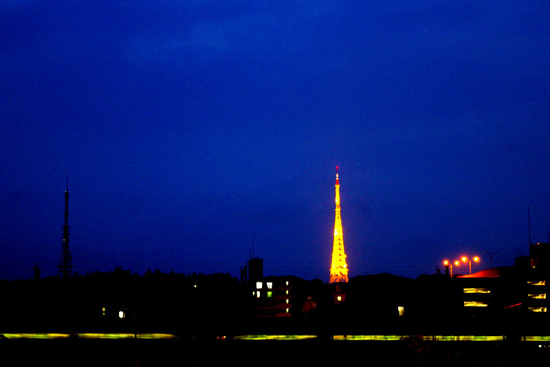 IMGP2563