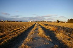 IMGP0550