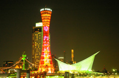 IMGP7924