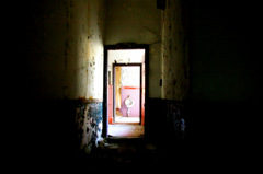 IMGP7196