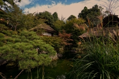 京都に行こう　日本庭園２