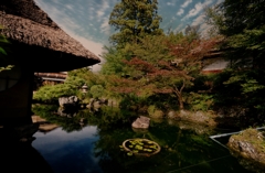 京都に行こう　日本庭園
