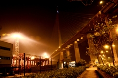 Bridge4