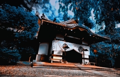 京都に行こう　三十三間堂前寺