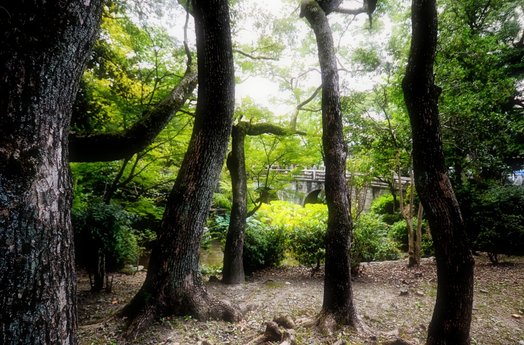 京都に行こう　大谷