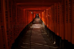 Fushimi Inari 伏見稻荷大社