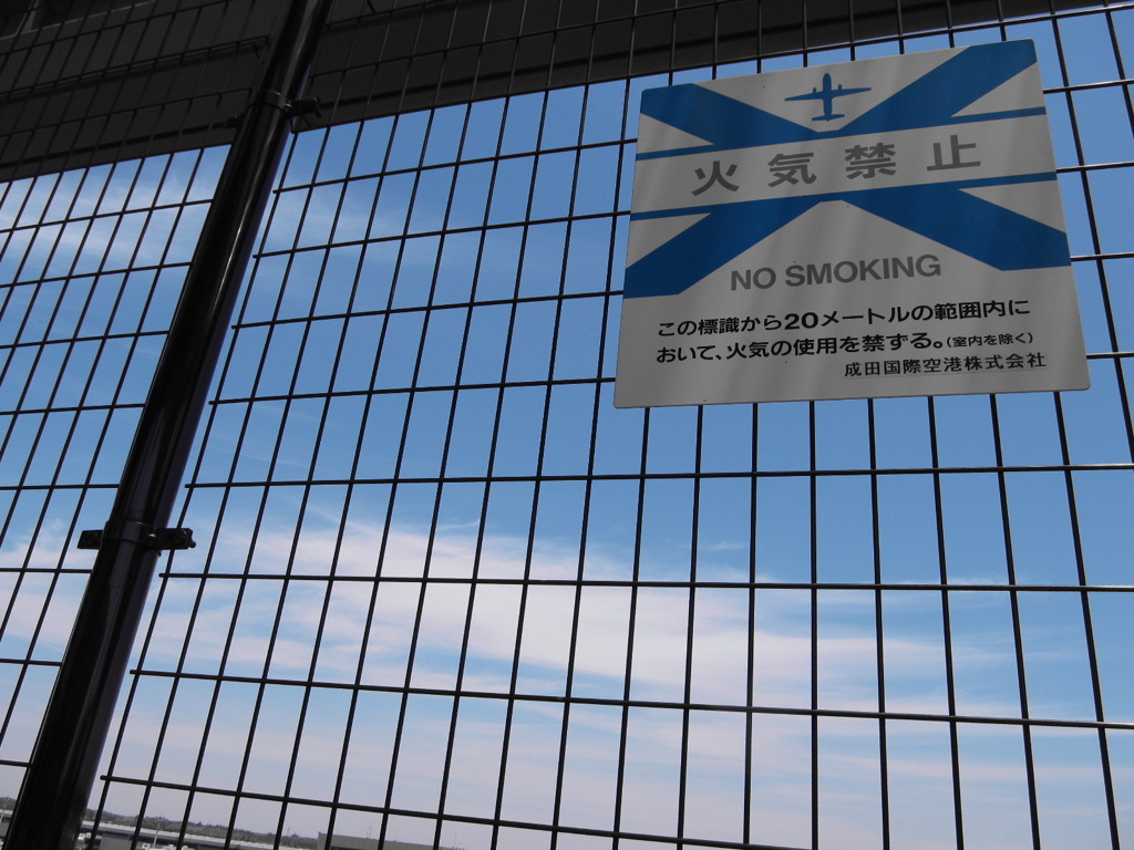 飛行機が